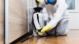 Emergency Pest Control Services in Belfast, ME